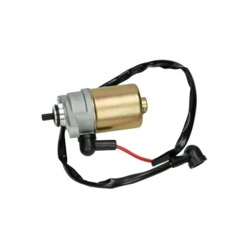 Benzhou Startmotor china4t/django/fid/ksb/orb/retro/tori/sco gy6/v-clic e0706bz