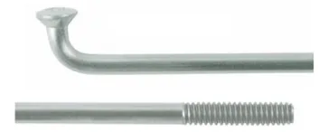 Dt Swiss SPAAK 14X275 DT CHAMPION RVS p/st