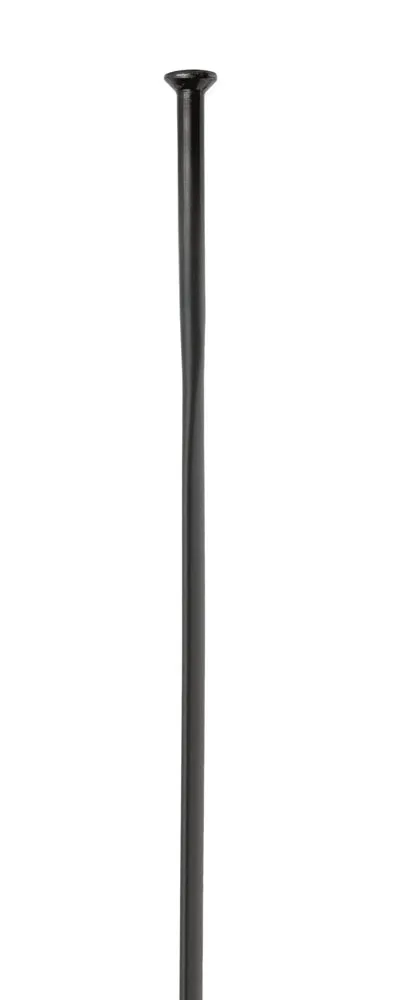 Dt Swiss SPAAK 14X290 DT AEROLITE SP ZW P/ST Zwart