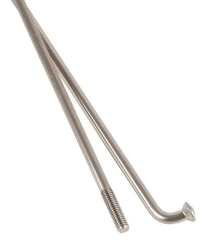 Dt Swiss Spaak dt champion 14x282 rvs p/st Zilver