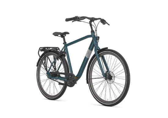 Gazelle Esprit Belt Pine Green Mat N7