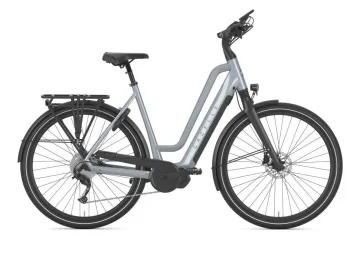 Gazelle Chamonix T10 HMS Brewster Grey Glans N10