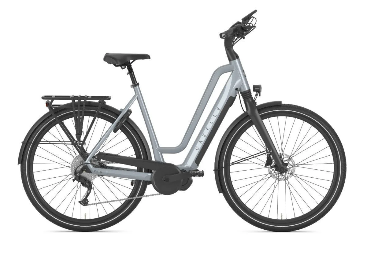 Gazelle Chamonix T10 HMS Brewster Grey Glans N10