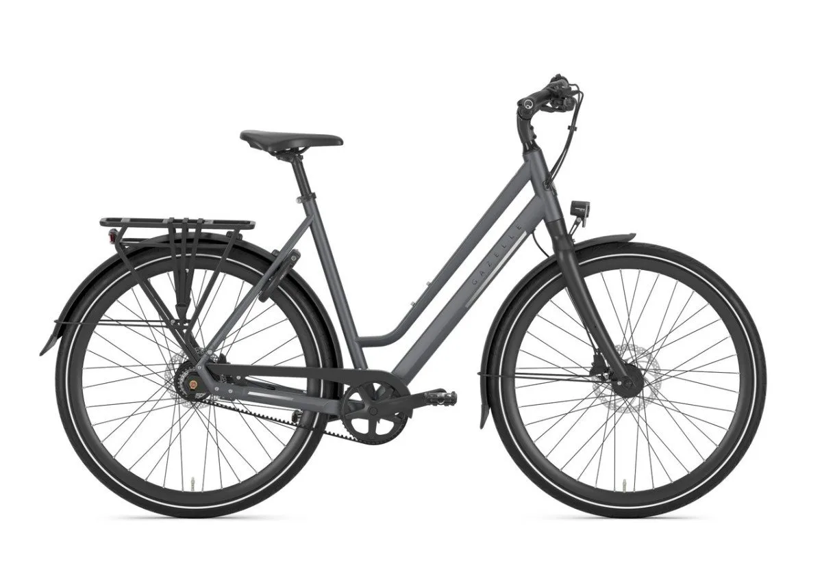 Gazelle Chamonix S11 Cloud Grey Mat N11 - Afbeelding 3