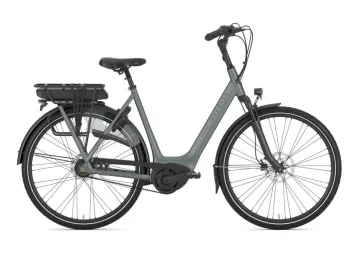 Gazelle Orange C8+ Twilight Green Mat N8