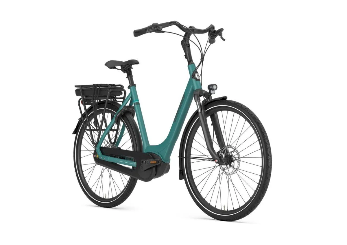 Gazelle Paris C7+ Thyme Green Mat N7 - Afbeelding 3