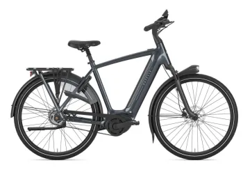 Gazelle Grenoble C5 Anthracite Grey Glans N5