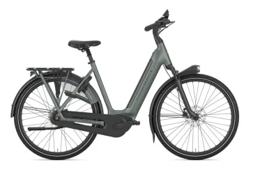 Gazelle Grenoble C8+ Twilight Green Mat N8