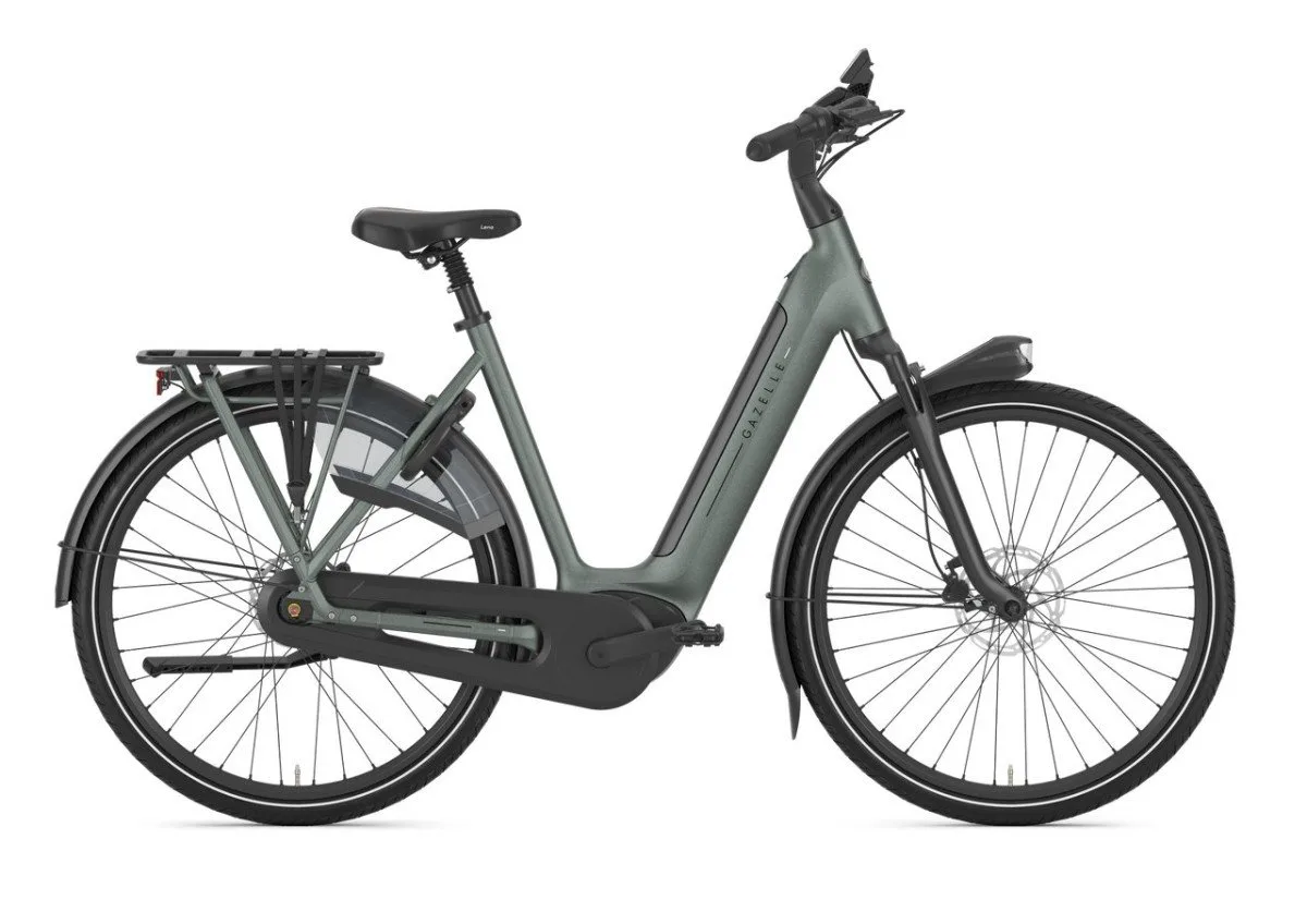 Gazelle Grenoble C8+ Twilight Green Mat N8
