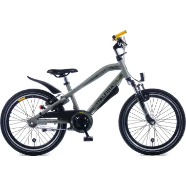 Alpina Trial Desert Grey Matt 22 RN1