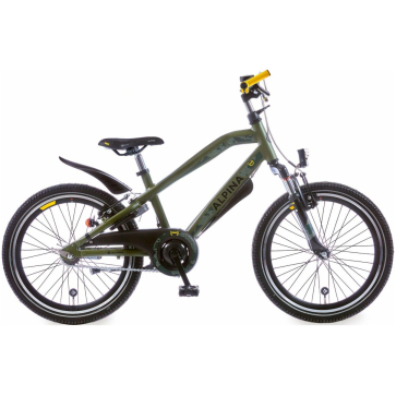 Alpina Trial Survival Green Matt 20