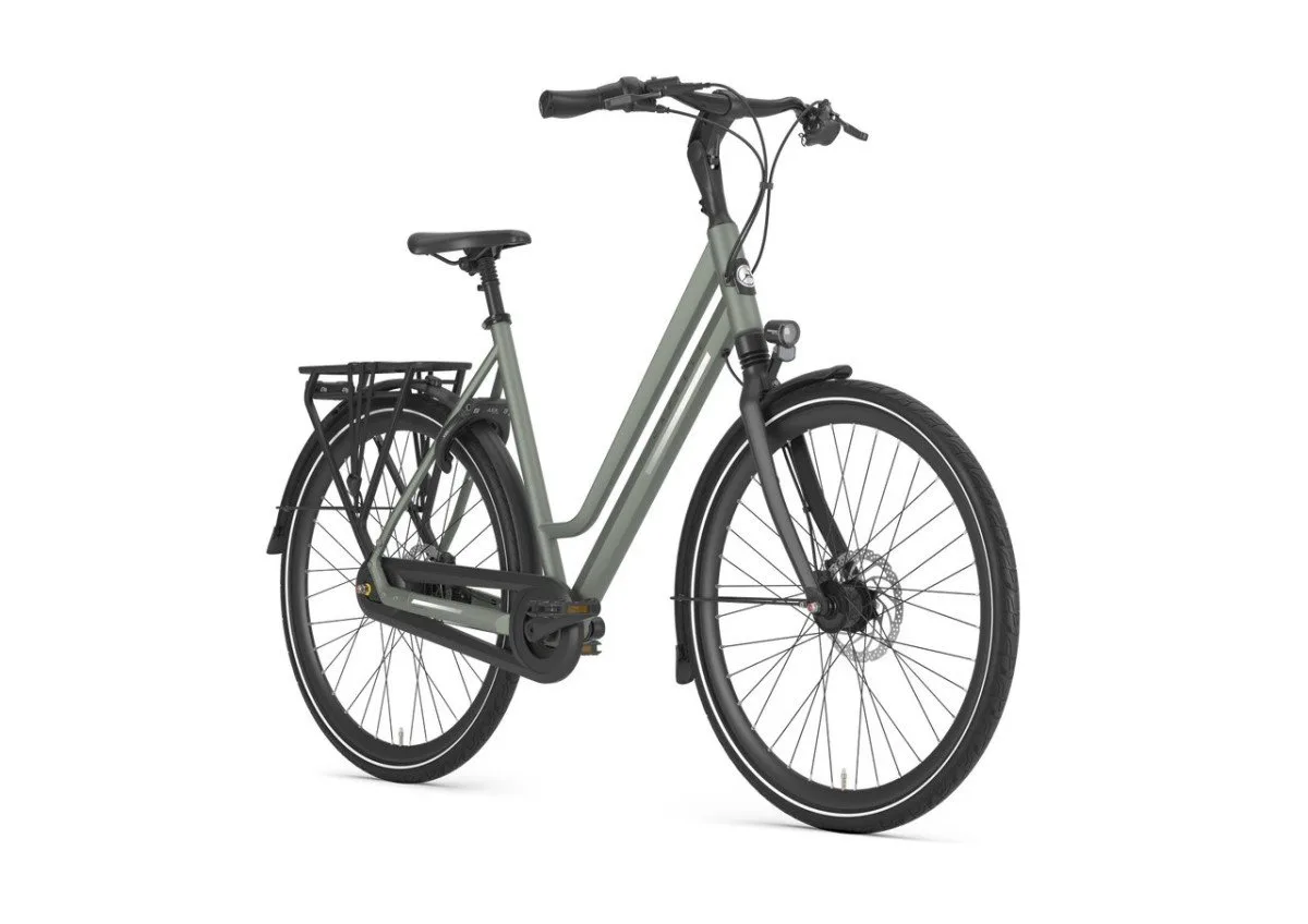 Gazelle Chamonix C8 Clay Green Mat N8 - Afbeelding 3