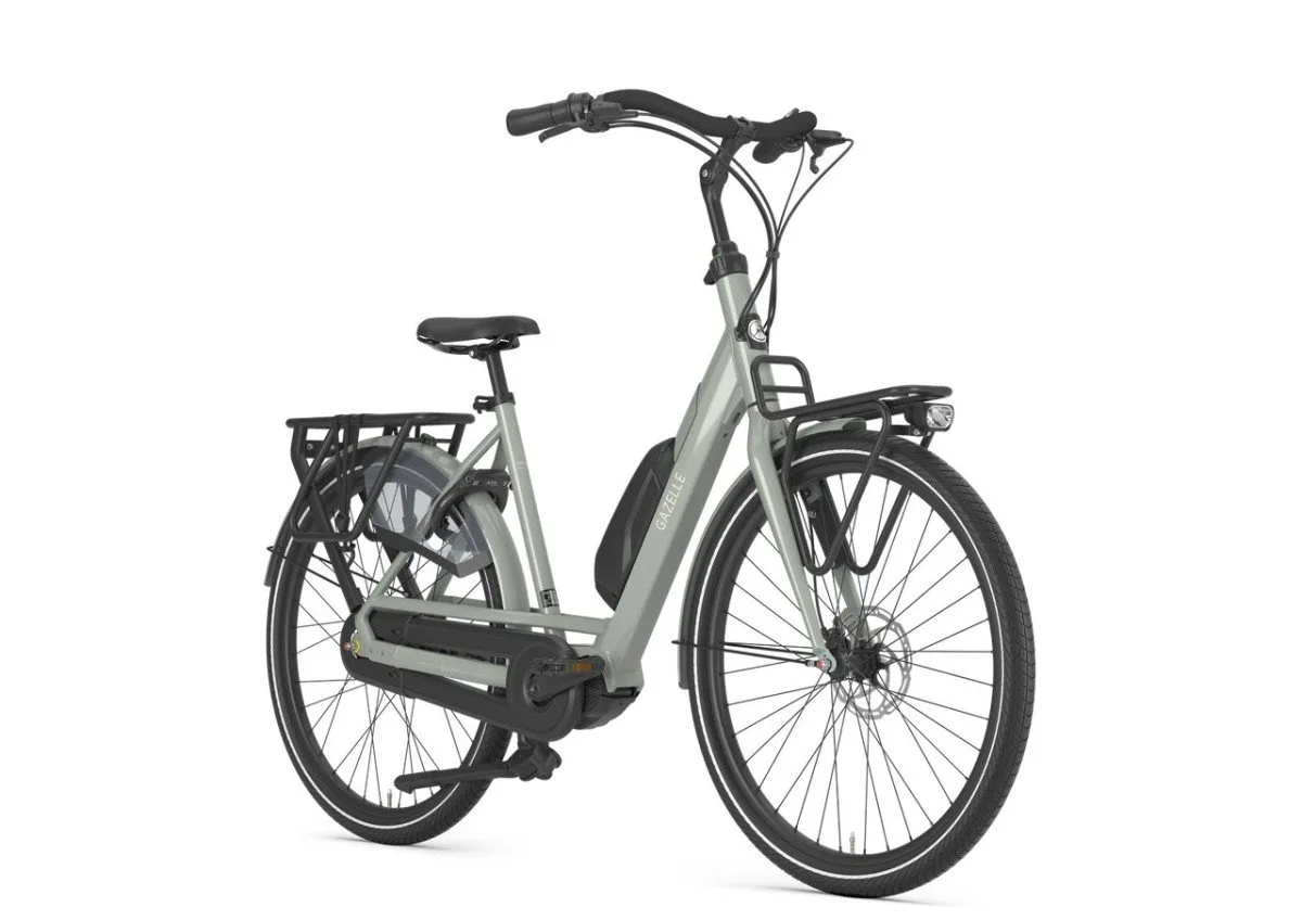 Gazelle Bloom C310 Clay Green Glans N1 - Afbeelding 3