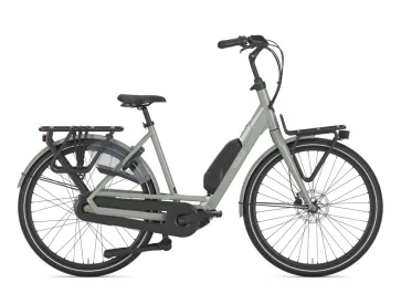 Gazelle Bloom C310 Clay Green Glans N1