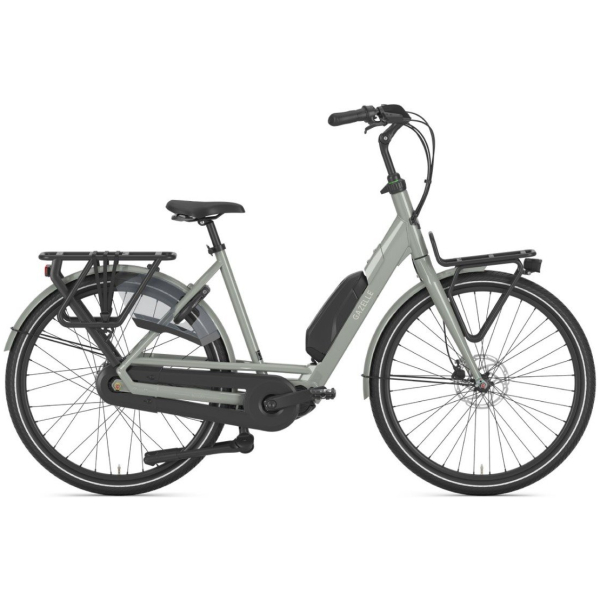 Gazelle Bloom C310 Clay Green Glans N1 - Afbeelding 5