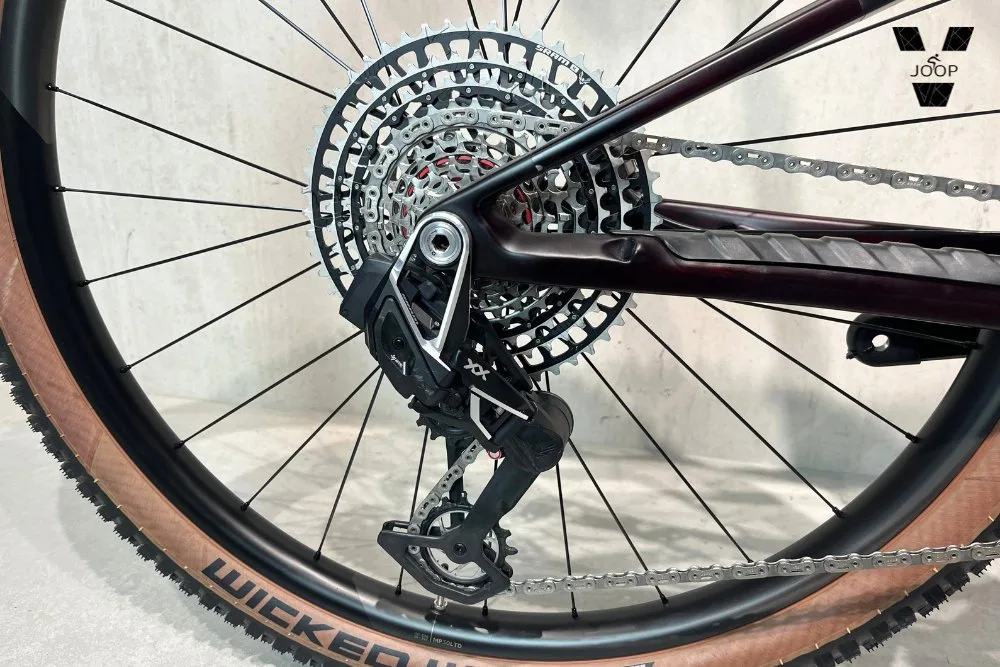 Orbea OIZ M-LTD Custom RD12 - Afbeelding 3