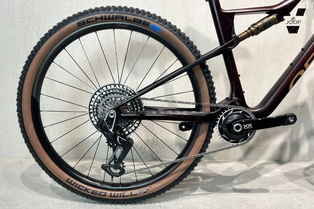 Orbea OIZ M-LTD Custom RD12 - Afbeelding 2
