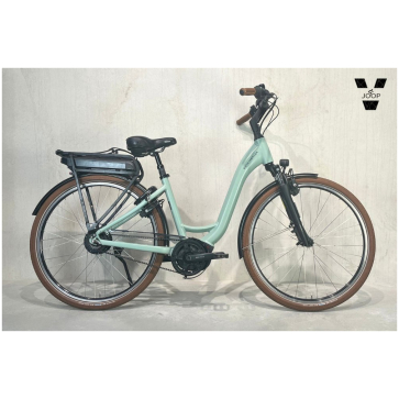 Riese & Muller Swing Vario Salvia Matt