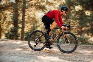 eGravelbikes