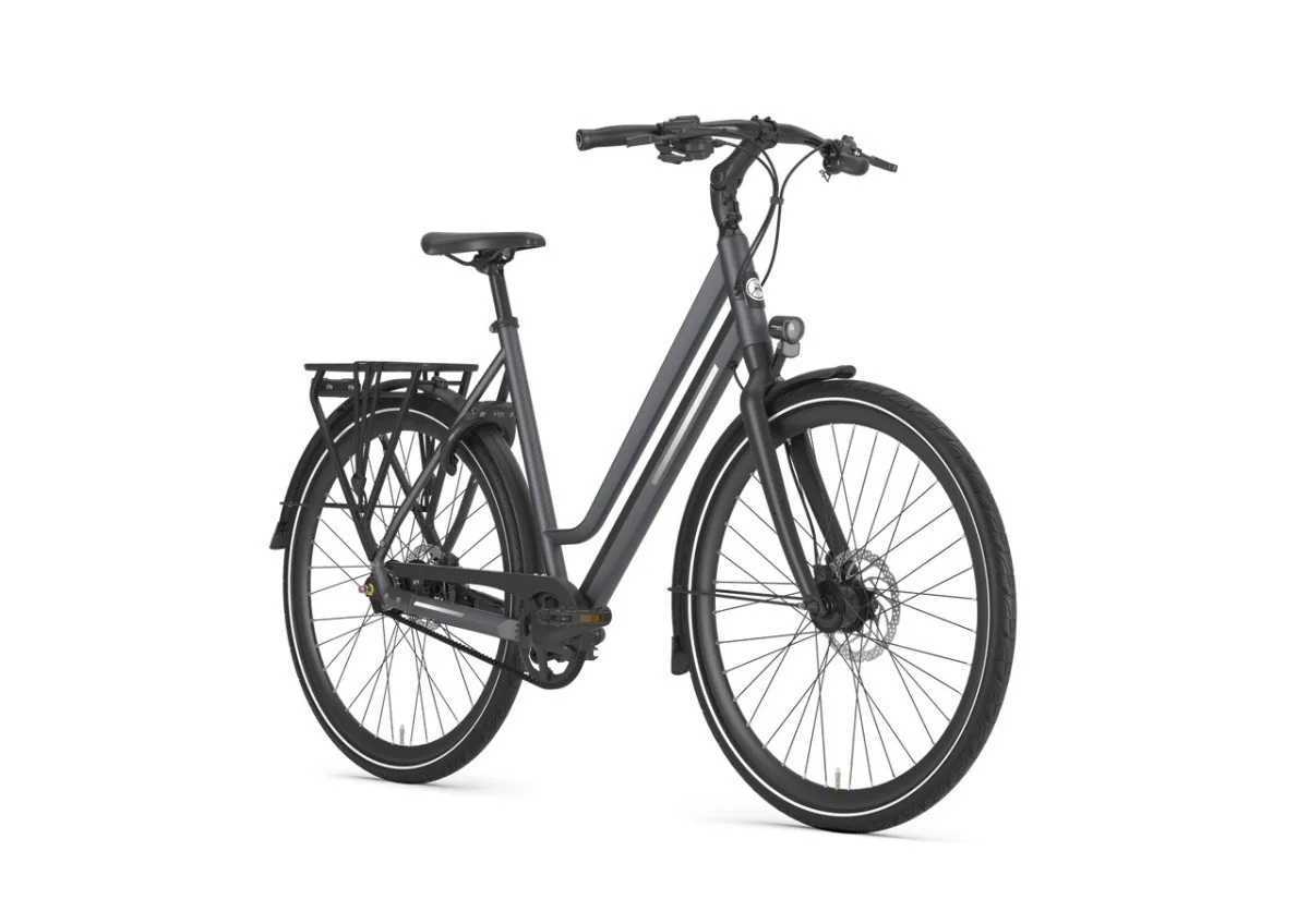 Gazelle Chamonix S11 Cloud Grey Mat N11 - Afbeelding 4