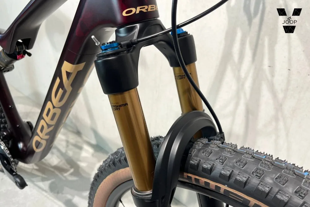 Orbea OIZ M-LTD Custom RD12 - Afbeelding 5