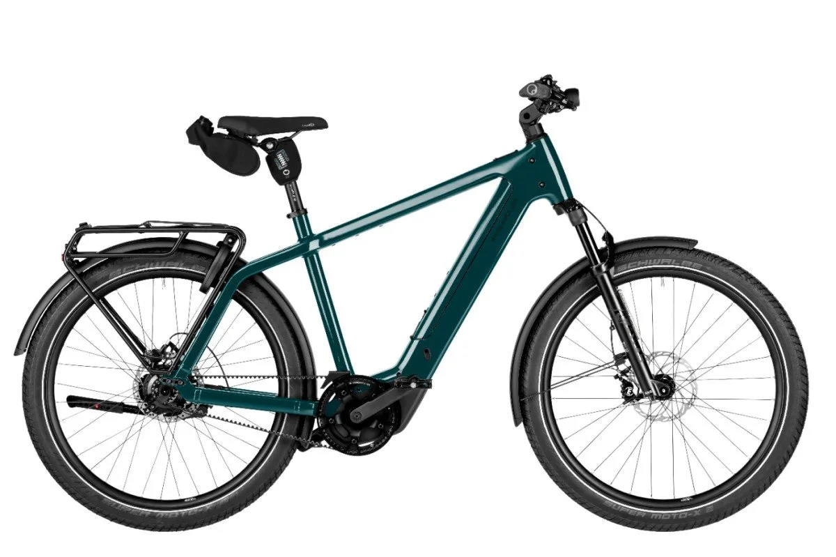 Riese & Muller Charger5 rohloff Pine