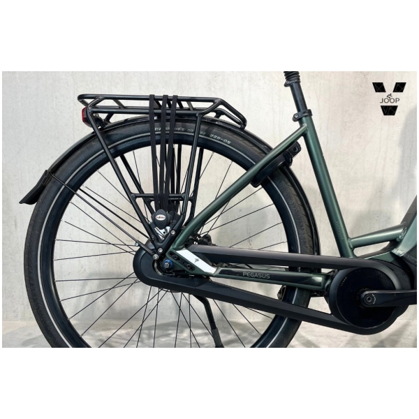 Pegasus Ravenna EVO 8F NL Emerald Green Matt/black Matt N8 - Afbeelding 3