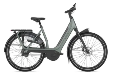 Gazelle Avignon C380+ Twilight Green Mat N1