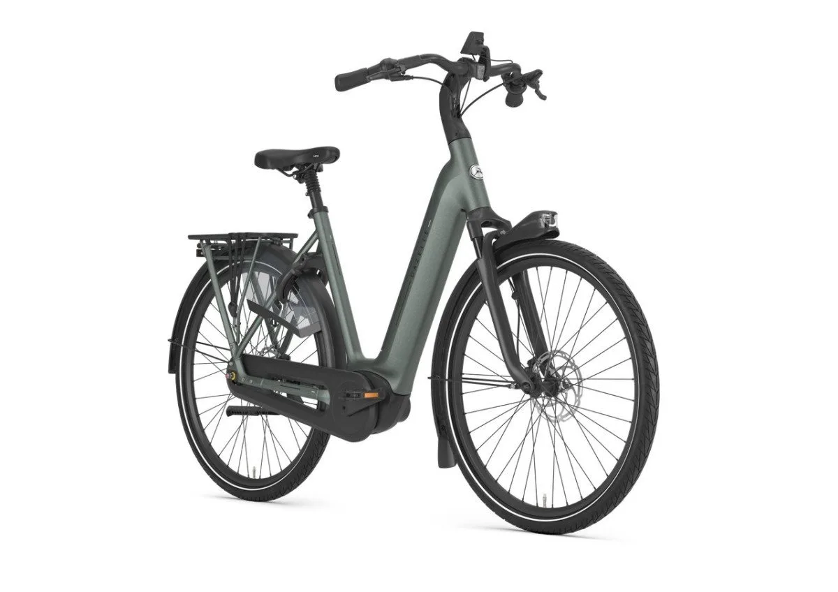 Gazelle Grenoble C8+ Twilight Green Mat N8 - Afbeelding 3