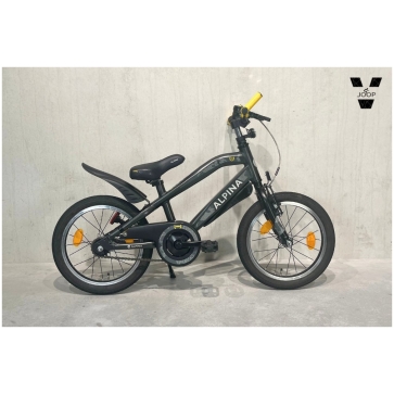 Alpina Trial Zwart 16