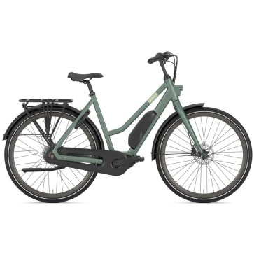 Gazelle Esprit C7 Moss Green Mat N7