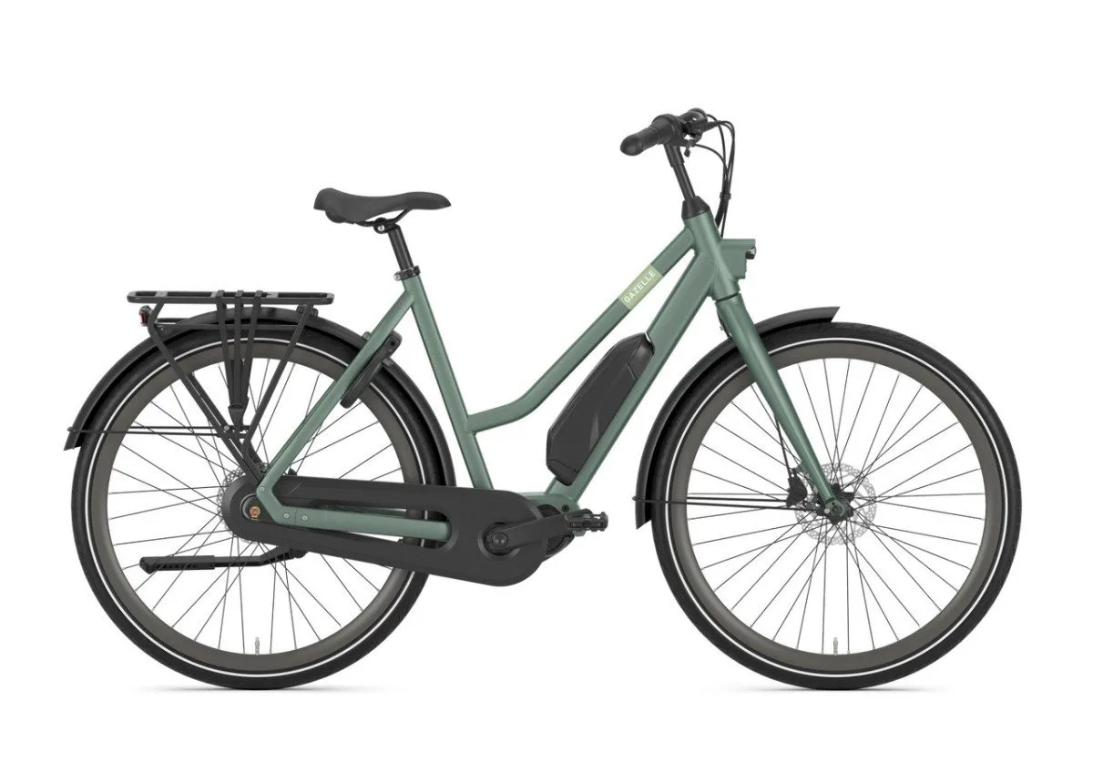 Gazelle Esprit C7 Moss Green Mat N7