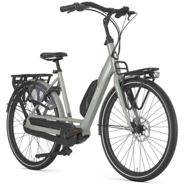 Gazelle Bloom C310 Clay Green Glans N1