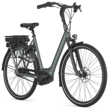 Gazelle Orange C8+ Twilight Green Mat N8