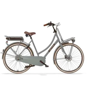 Cortina E-U4 Transport Muted Sage Matt N7
