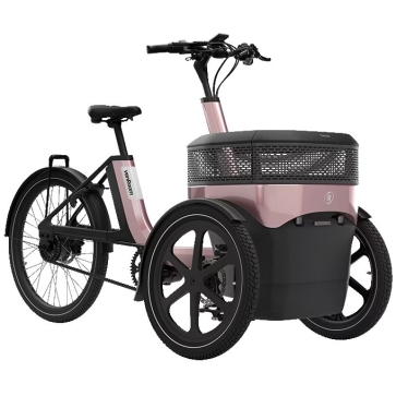 Van Raam Thuja smooth Enviolo Thuja Green Metallic