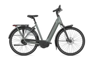 Gazelle Grenoble C5+ First Edition Twilight Green Mat N5