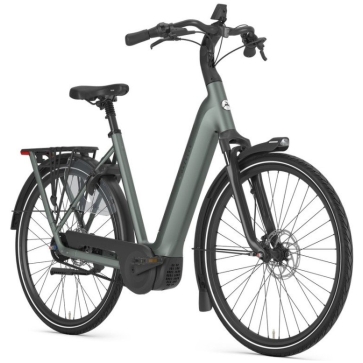 Gazelle Grenoble C5+ First Edition Twilight Green Mat N5