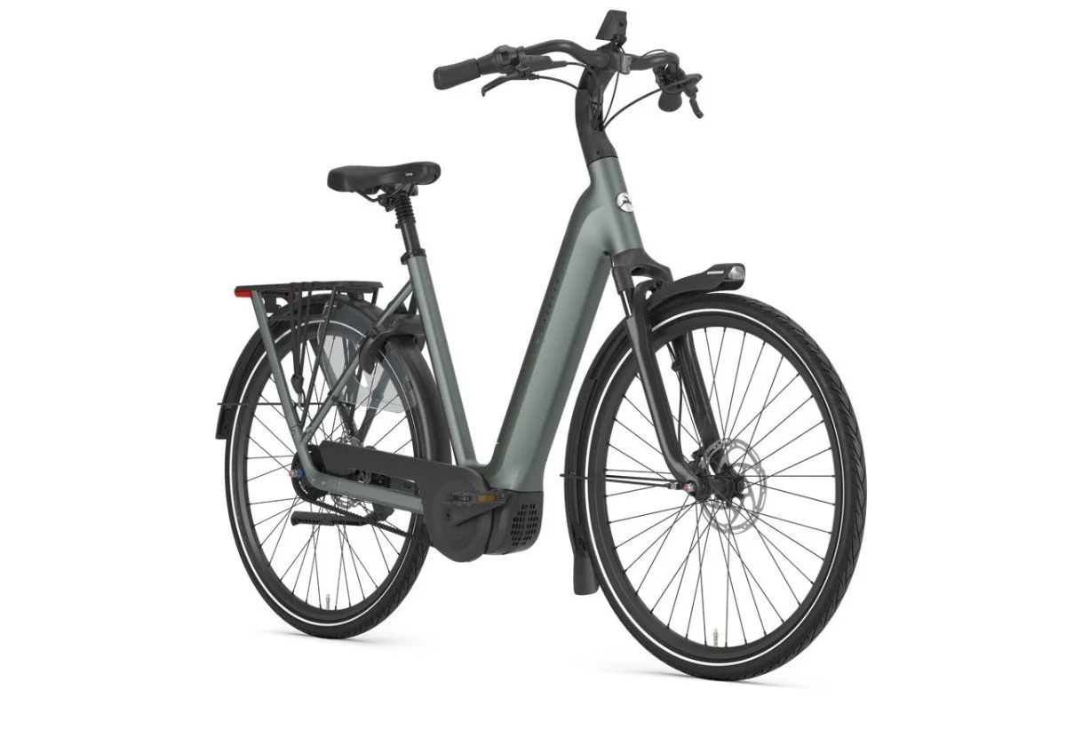 Gazelle Grenoble C5+ First Edition Twilight Green Mat N5 - Afbeelding 6