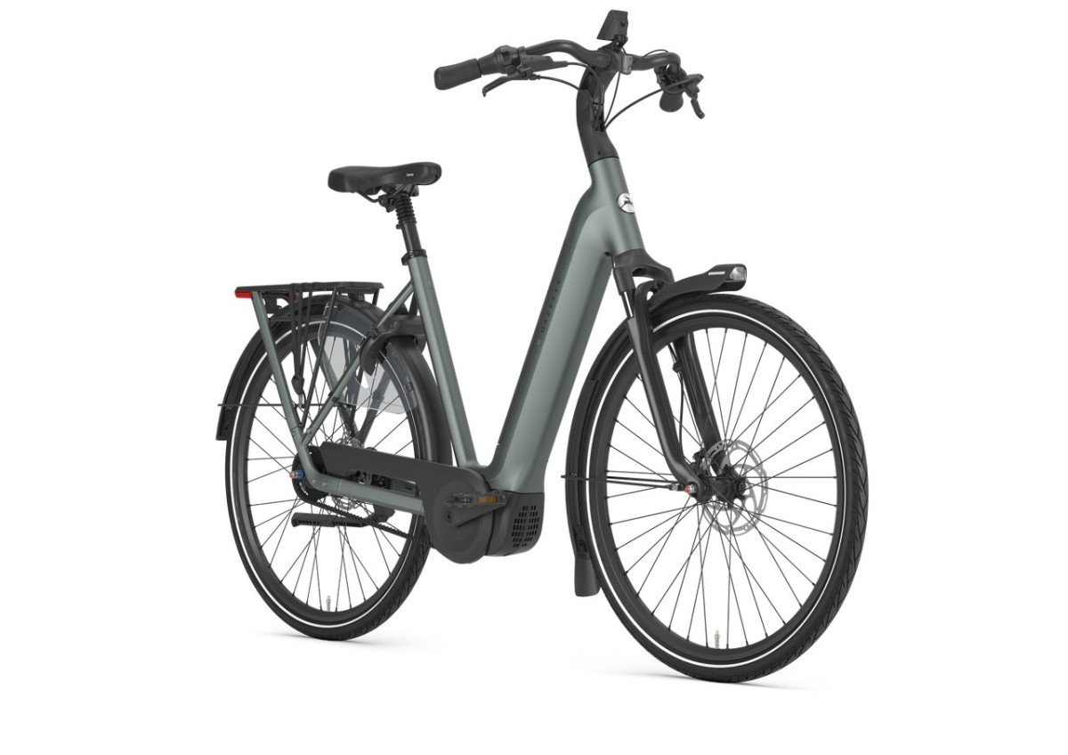 Gazelle Grenoble C5+ First Edition Twilight Green Mat N5 - Afbeelding 6