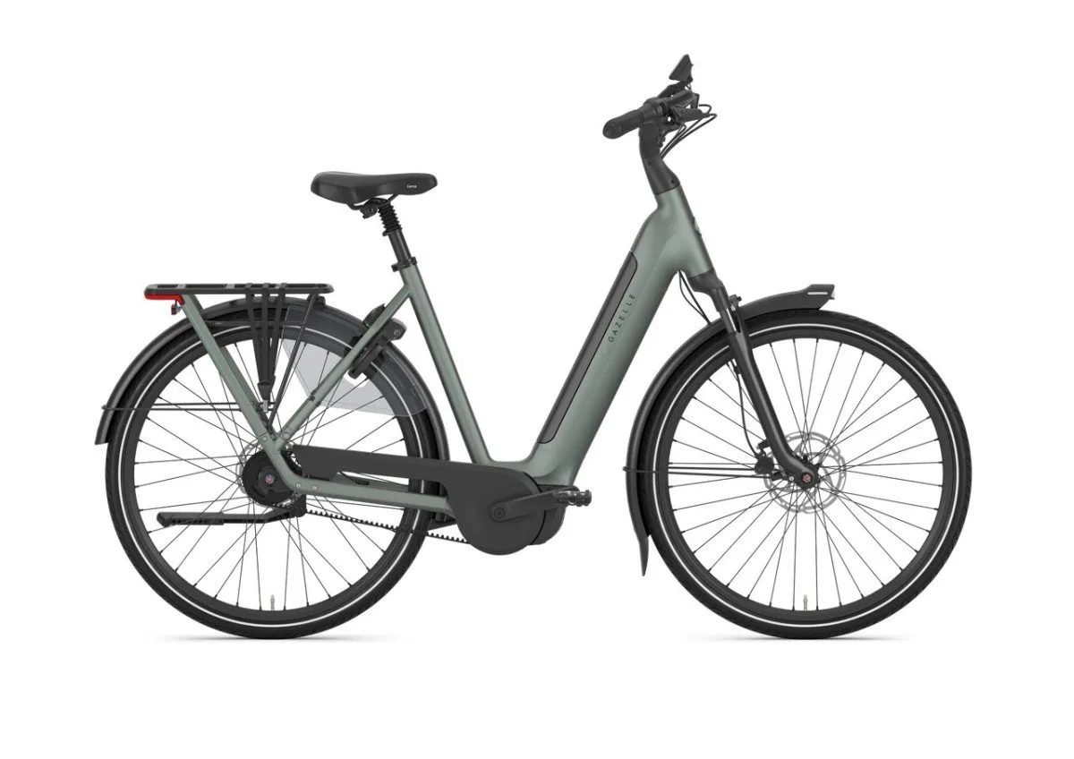 Gazelle Grenoble C5+ First Edition Twilight Green Mat N5 - Afbeelding 5