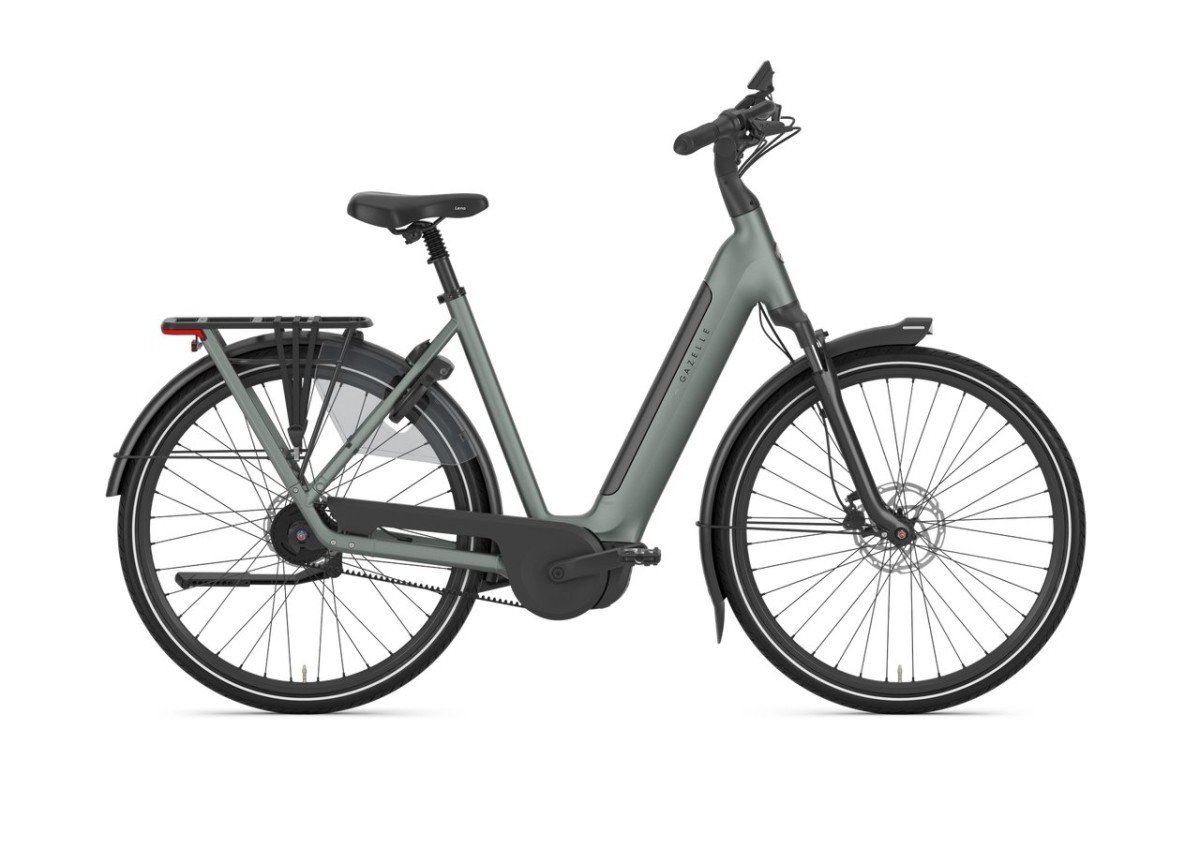 Gazelle Grenoble C5+ First Edition Twilight Green Mat N5 - Afbeelding 5