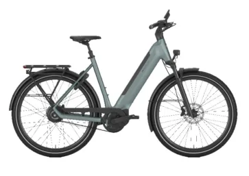 Gazelle Ultimate C380 Dew Green Mat N1