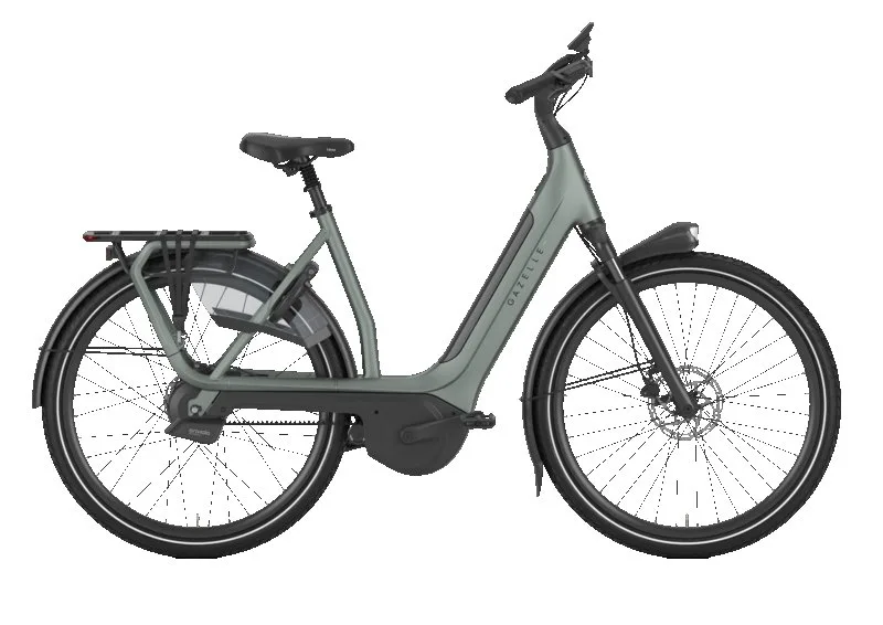 Gazelle Avignon C380+ Twilight Green Mat N1