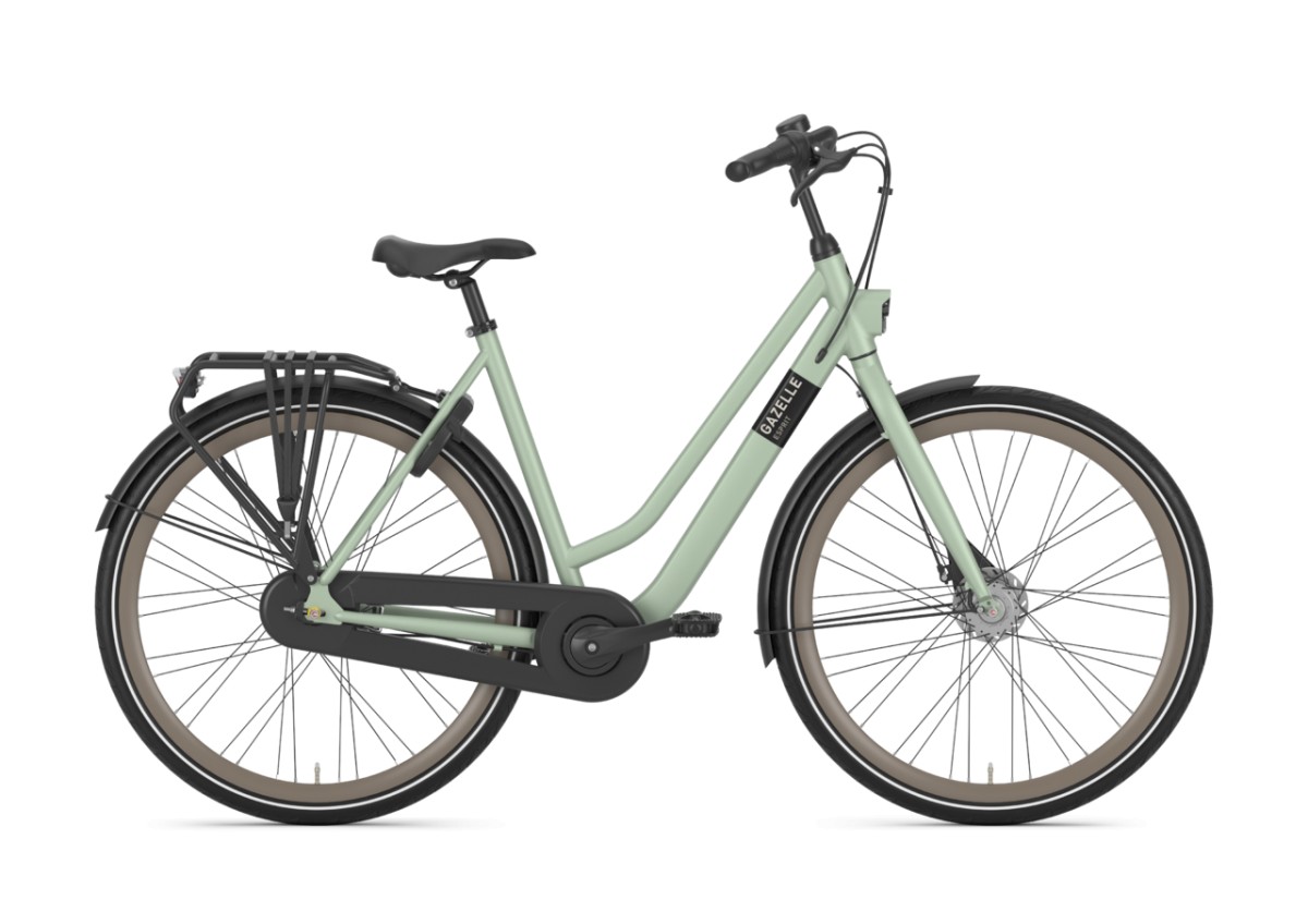 Toepassing bladerdeeg onenigheid Gazelle Esprit Pistache Green Mat N7 – Joop van Voorthuizen Fietsen