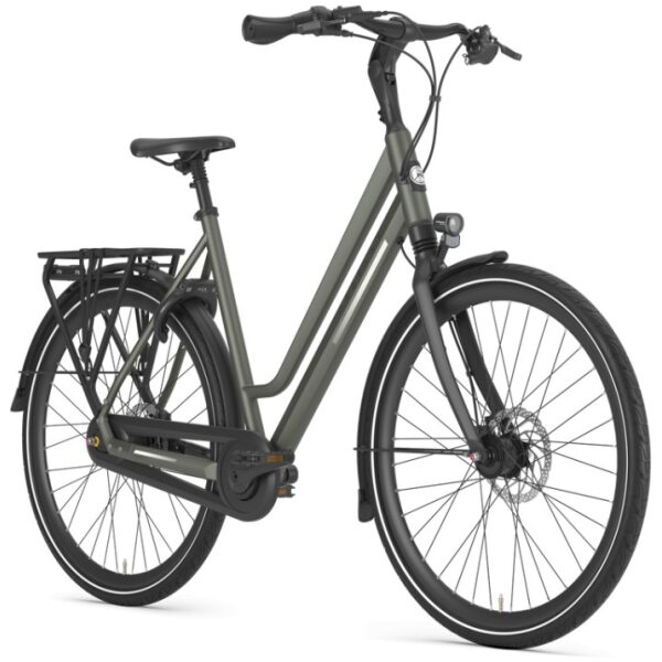 Gazelle Chamonix C8 Clay Green Mat N8 - Afbeelding 6